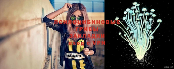 гидра Новокубанск