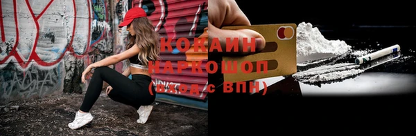 шишки Новозыбков