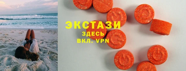 индика Себеж