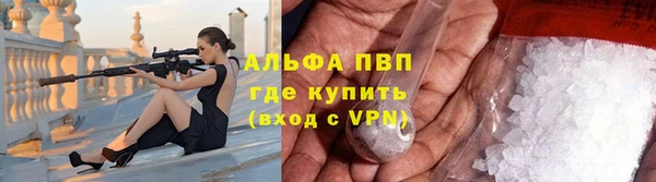 гидра Новокубанск