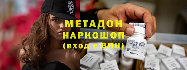 шишки Новозыбков