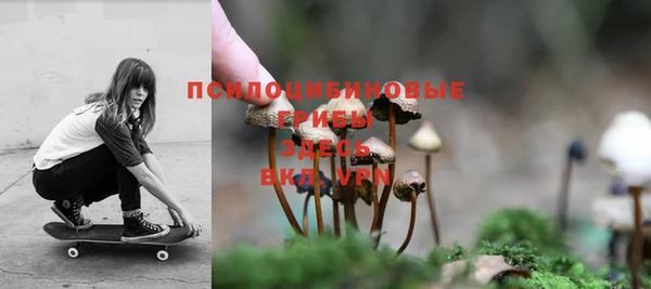 гидра Новокубанск