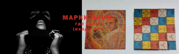 шишки Новозыбков