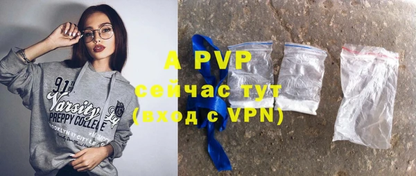 шишки Новозыбков
