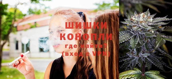 шишки Нефтекумск