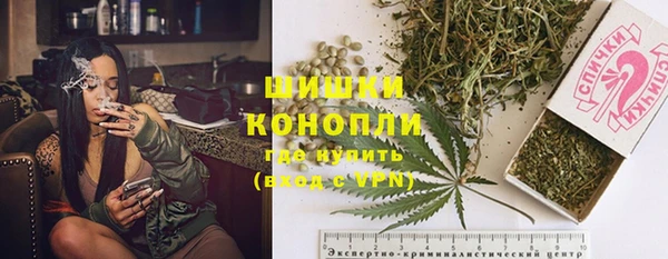 шишки Новозыбков