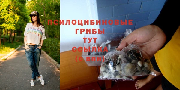 гидра Новокубанск