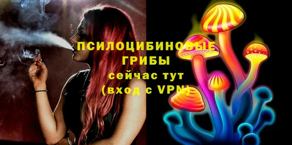 шишки Новозыбков