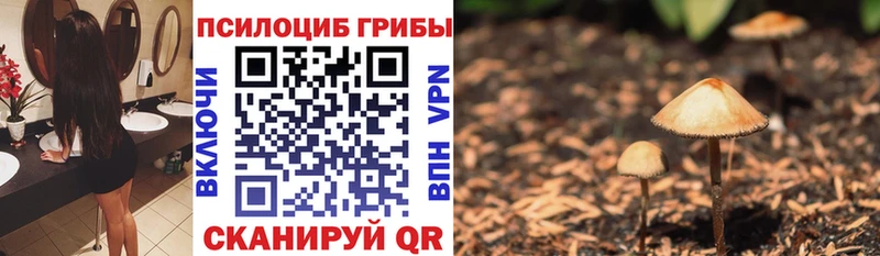Псилоцибиновые грибы ЛСД Аткарск